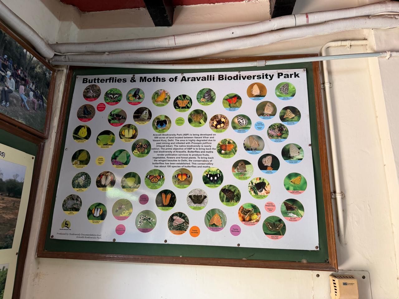 The Aravalli Biodiversity Park